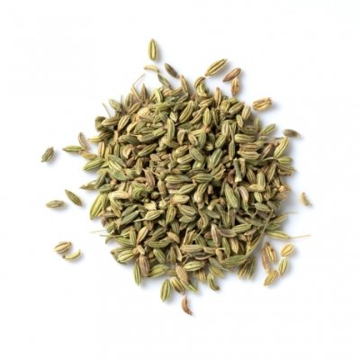 Fennel